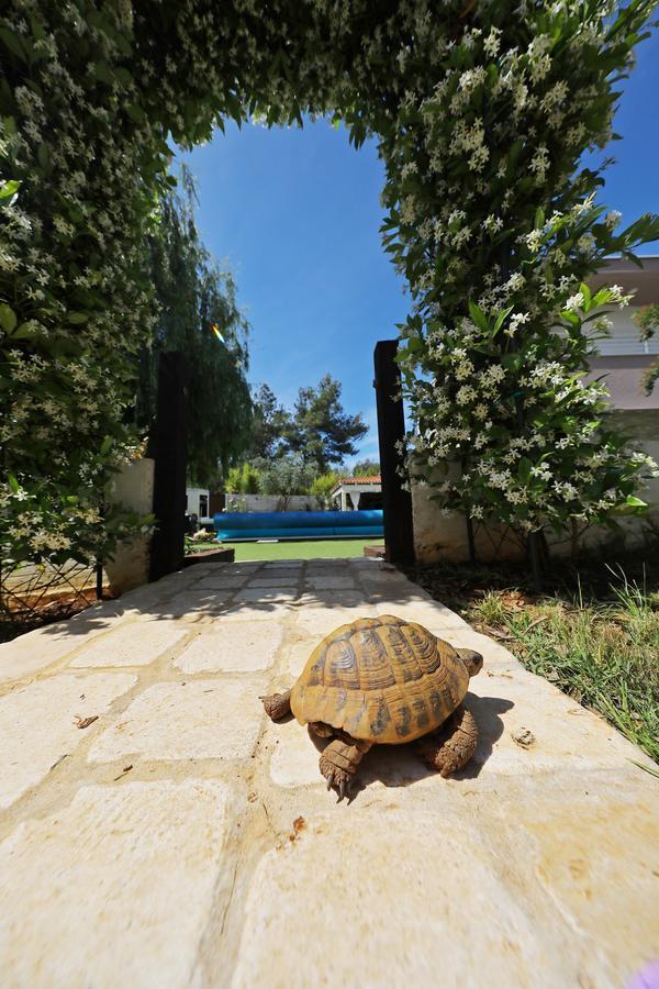 Apartments Mirakul Ζαντάρ Εξωτερικό φωτογραφία